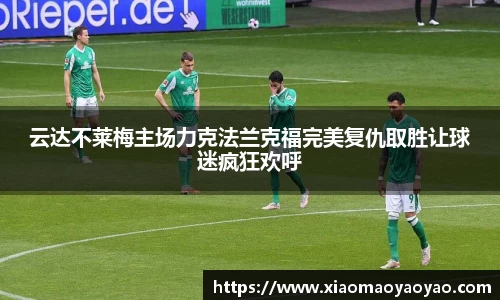 易游体育app