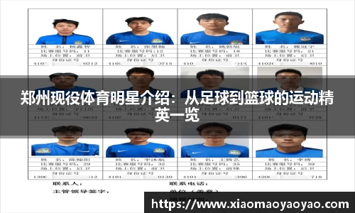 易游体育官网