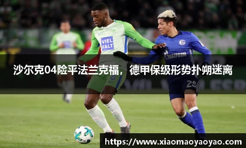 沙尔克04险平法兰克福，德甲保级形势扑朔迷离