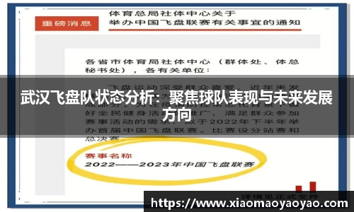 武汉飞盘队状态分析：聚焦球队表现与未来发展方向