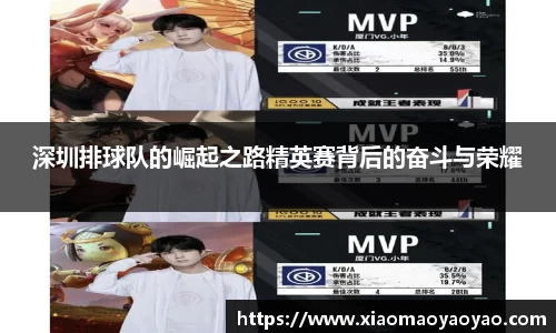深圳排球队的崛起之路精英赛背后的奋斗与荣耀