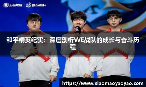和平精英纪实：深度剖析WE战队的成长与奋斗历程