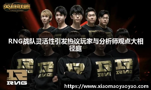 RNG战队灵活性引发热议玩家与分析师观点大相径庭