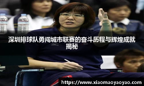 深圳排球队勇闯城市联赛的奋斗历程与辉煌成就揭秘