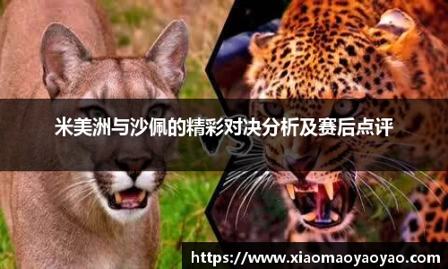 米美洲与沙佩的精彩对决分析及赛后点评