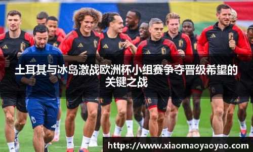 土耳其与冰岛激战欧洲杯小组赛争夺晋级希望的关键之战