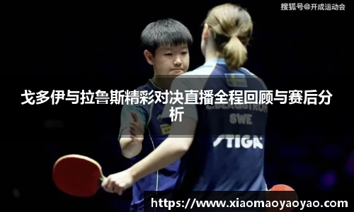 戈多伊与拉鲁斯精彩对决直播全程回顾与赛后分析