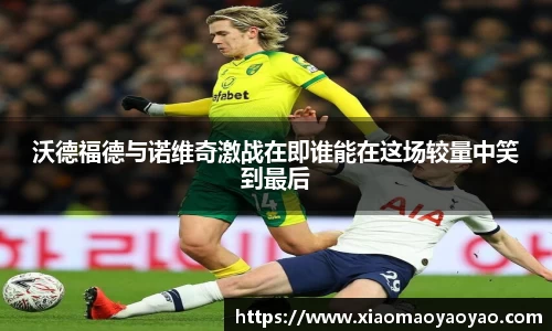 沃德福德与诺维奇激战在即谁能在这场较量中笑到最后