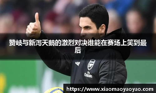赞岐与新泻天鹅的激烈对决谁能在赛场上笑到最后