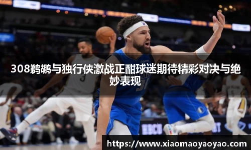 308鹈鹕与独行侠激战正酣球迷期待精彩对决与绝妙表现