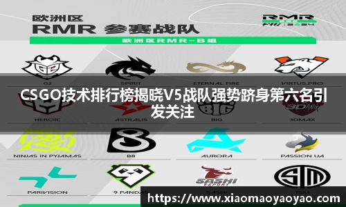 CSGO技术排行榜揭晓V5战队强势跻身第六名引发关注