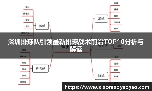 深圳排球队引领最新排球战术前沿TOP10分析与解读