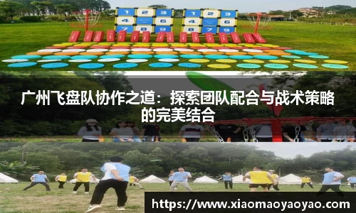 广州飞盘队协作之道：探索团队配合与战术策略的完美结合