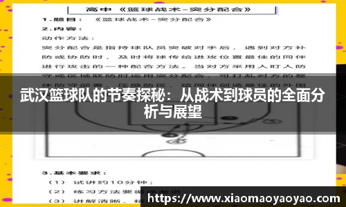 武汉篮球队的节奏探秘：从战术到球员的全面分析与展望
