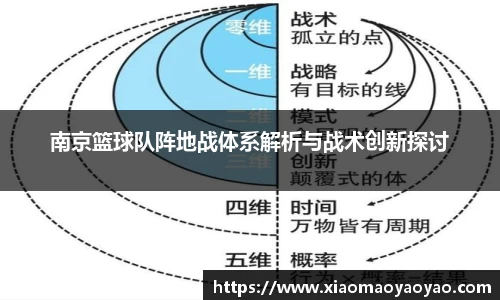 南京篮球队阵地战体系解析与战术创新探讨