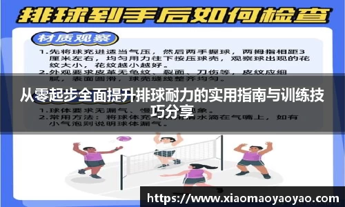 从零起步全面提升排球耐力的实用指南与训练技巧分享
